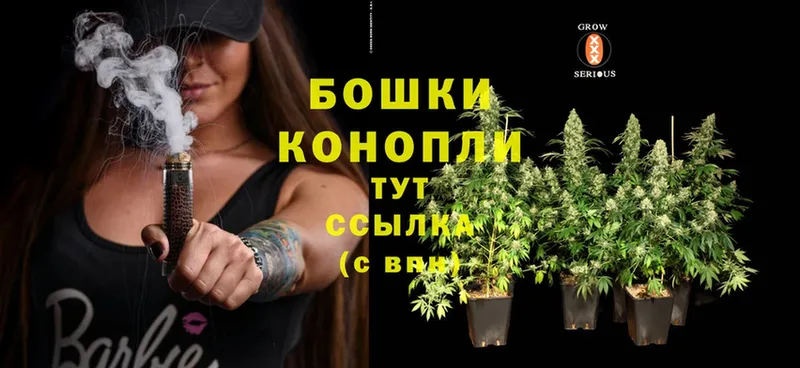 Бошки Шишки Ganja  MEGA ONION  Богородск 